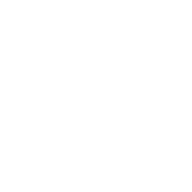 dos mark