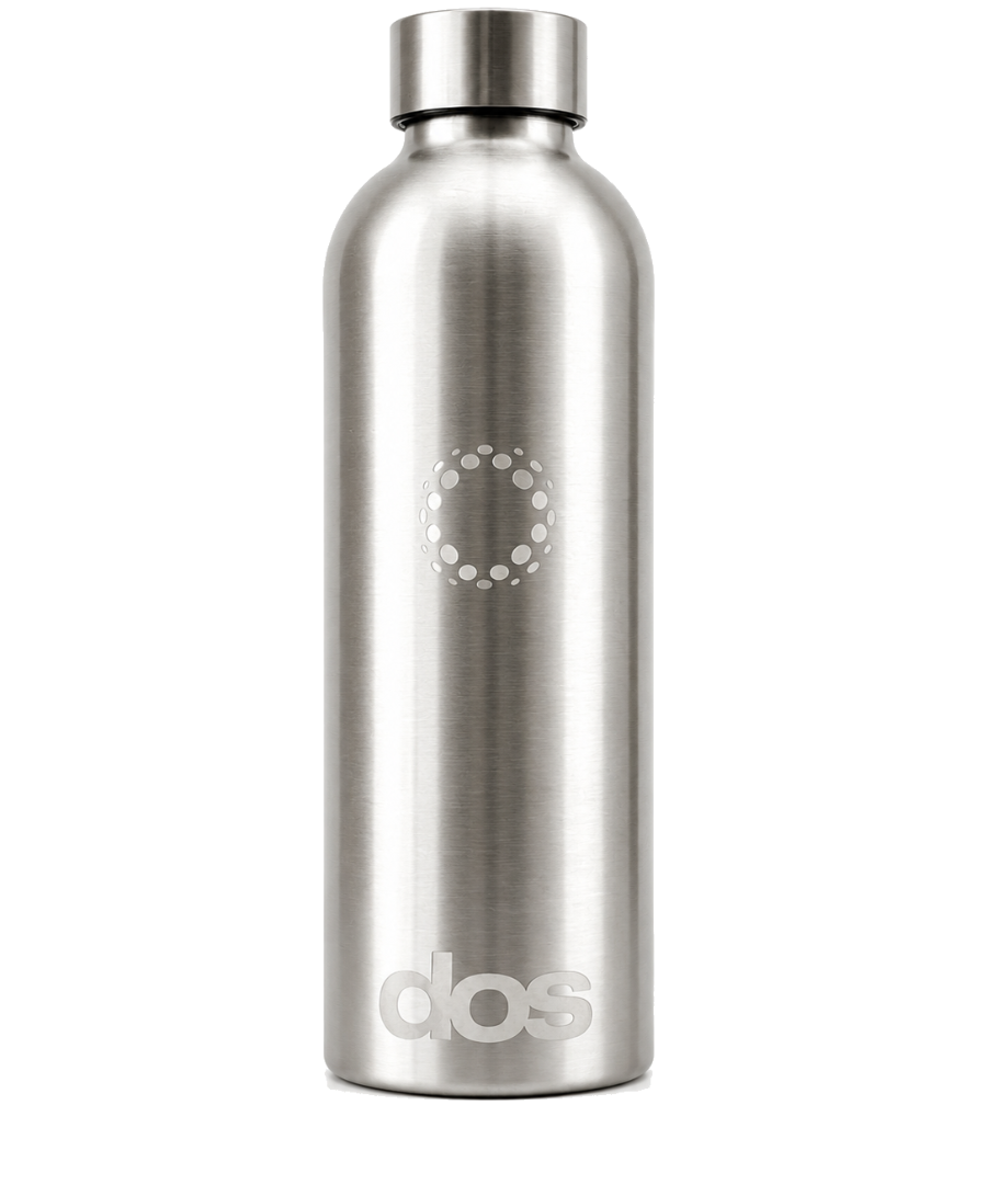 dos stainless steel insulated bottle